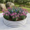 TUYOHW Metal Raised Garden Bed,Round Outdoor Planter Box for Vegetables Herbs Flowers,Galvanized Rust-Proof Elevated Planting Box - 2 of 4