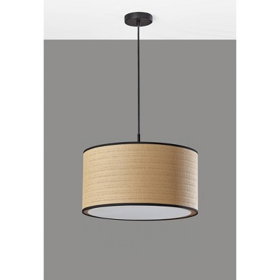 Black Brass Drum Pendant Light with LED and Incandescent Options
