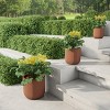 Fiber Clay Planters - 3-Piece Cylinder Pot Set with Drainage Holes for Potting and Replanting Flowers, Herbs, and Plants by Pure Garden (Brown) - 3 of 4