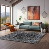 LIVN CO. Distressed Vintage Medium Pile Area Rug, Black/Cream - 2 of 4