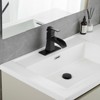 PAGED Single Hole Bathroom Sink Faucet,Bathroom Faucet with Pop Up Drain and Supply Lines for Home Sinks - 2 of 4