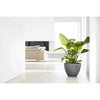 Ecopots Antwerp Durable Modern Round Indoor/Outdoor Recycled-Based Composite Flower Pot Planter - 4 of 4