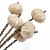 Whisen Set of 12, 23.5" 5Pcs/Bunch Pumpkin Pod Twig Stem - Brown & Ivory - 4 of 4
