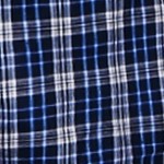 1 blue plaid/1 green plaid
