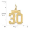 Black Bow Jewelry 14k Yellow Gold, Jersey Collection, Small Number 30 Pendant - 4 of 4