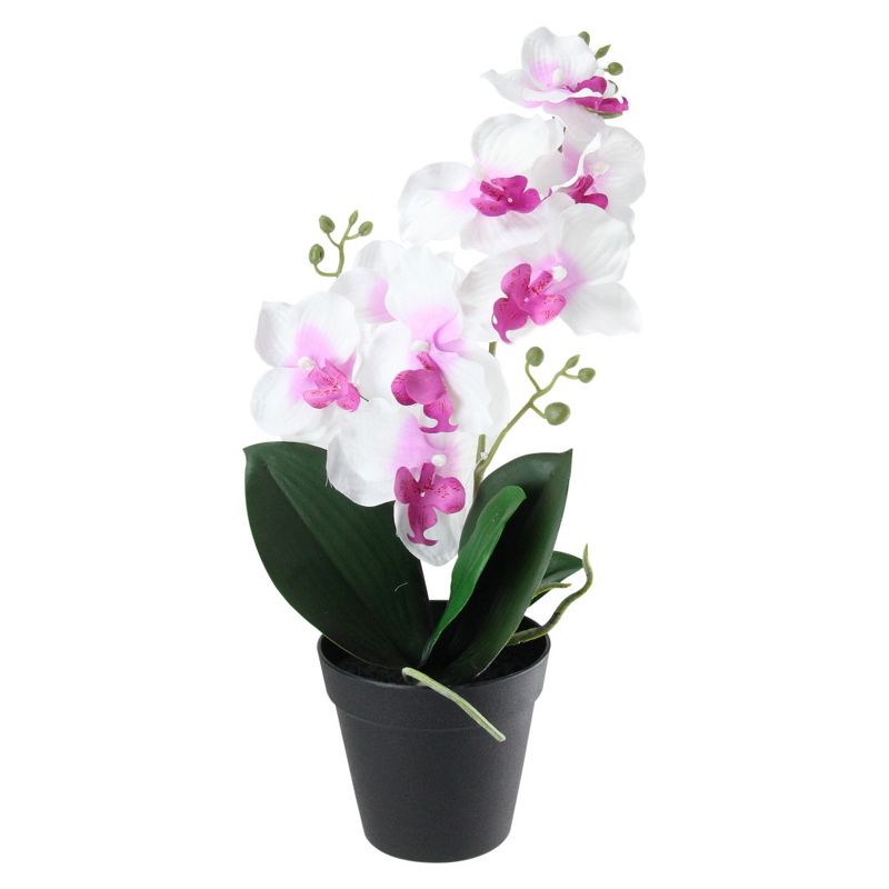 Northlight 16.5" Phalaenopsis Orchid Silk Flower Artificial Potted Arrangement - Green/White, 3 of 4