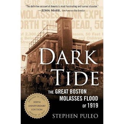 Dark Tide - by  Stephen Puleo (Paperback)