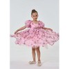 2Bunnies 3D Floral Embroidered Ruffled Tulle Girl Dress - 4 of 4
