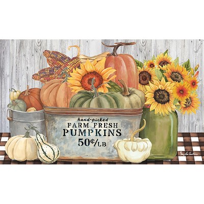 Briarwood Lane Black And White Pumpkin Fall Natural Fiber Coir Doormat  Autumn Welcome 30 X 18 : Target