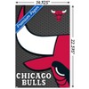 Trends International NBA Chicago Bulls - Logo 14 Unframed Wall Poster Prints - 3 of 4