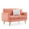 53"Loveseat Sofa,Couches For Dorms,Tufted Velvet Couch,Button Couch,Upholstered Couch,Comfy Couches For Small Spaces,2 Seat Sofa Couch-Cuddlewood - 3 of 4