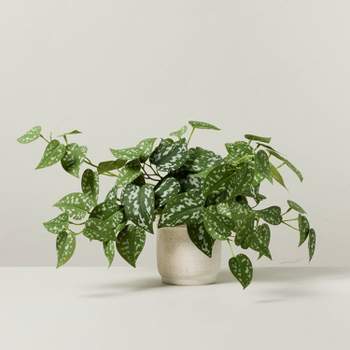 10" Faux Satin Variegated Pothos Plant - Hearth & Hand™ with Magnolia