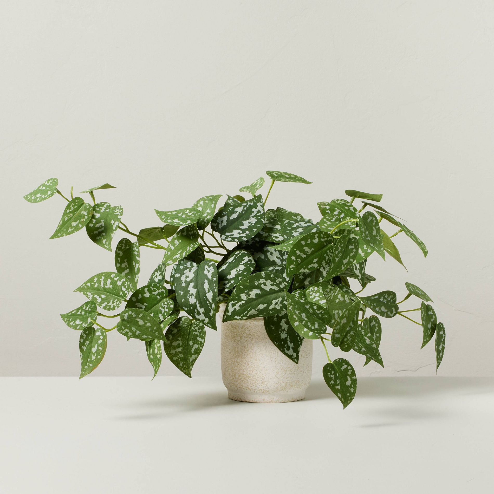 10" Faux Satin Variegated Pothos Plant - Hearth & Hand™ with Magnolia: Indoor Decorative Artificial Foliage in Off-White Pot