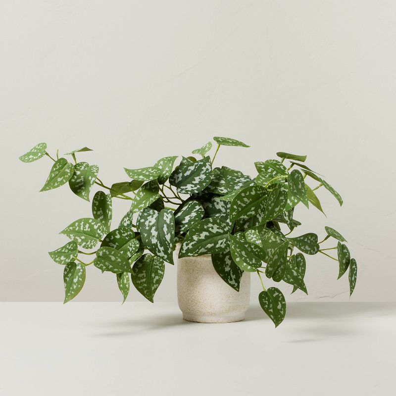 10&#34; Faux Satin Variegated Pothos Plant - Hearth &#38; Hand&#8482; with Magnolia, 1 of 5