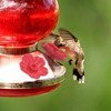 Unique Bargains Hummingbird Feeder Parts 30 Pcs - 2 of 4