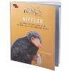 IncrediBuilds: Fantastic Beasts and Where to Find Them: Niffler