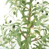 Set of 2 Artificial Olive Trees – Realistic Potted Faux Olive Plants with Natural Wood-Like Trunks, Lifelike Leaves and Fruit, Indoor Outdoor - 3 of 4