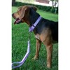 Country Brook Design Martingale Heavyduty Nylon Dog Collar - 2 of 4