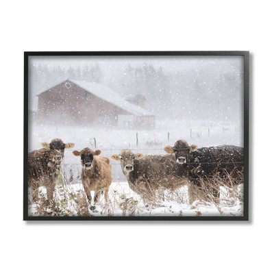 Stupell Industries Winter Farm Scene Cow Cattle Snowflakes Barn Black Framed Giclee Art