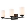 Millennium Lighting Durham 3 - Light Vanity in  Matte Black - 3 of 4