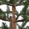 Haute Decor 4.5' Prelit Alberta Pine Potted Christmas Tree - 4 of 4