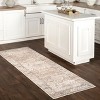 Nuloom Britt Persian Spill Proof Treated Pet Friendly Premium Machine Washable Area Rug - 2 of 4