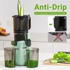 Masticating  Juicer, 5.3 in Cold Press Juicer with 250W Motor, Triple Filtration, Safety Lid Lock, 1.8 L Capacity, Fit for Whole Fruits & Vegetables - 3 of 4
