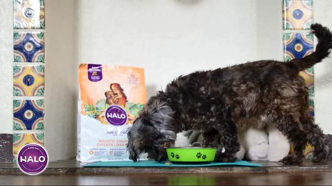 Halo, Purely for Pets Holistic Garden of Vegan with Vegetable Recipe Adult Dry Dog Food, 2 of 4, play video