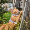 Unique Bargains Escape Proof Lightweight Cat Harness and Leash Set for Large and Small Cat Travel Walking Small Purple - 2 of 4