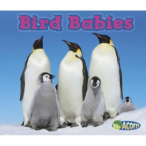 Bird Babies - (Animal Babies) by  Catherine Veitch (Paperback) - 1 of 1