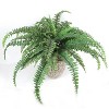 Floral Home 48" Wide Boston Fern with 48 Lifelike Fronds - 6-Piece - 2 of 4