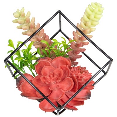 Northlight 5.5" Artificial Succulent Arrangement in Black Metal Wire Frame