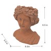NAYSAYE Planter Greek Style Cement Head Bust Planter Classical Design for Indoor Outdoor Garden, Brown, 9.1"*5.5"*9.4" - 3 of 4