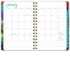 Global Printed Products Hardcover CY 2025 Fashion Planner - 5.5"x8" (Rainbow Trail) - 2 of 4