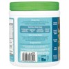 Amazing Grass Green Blend, Alkalize & Detox, 8.5 oz (240 g) - 3 of 4