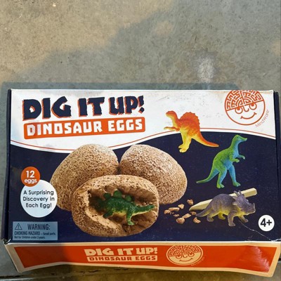  Dinosaur Toys Easter Eggs with Dinosaurs Inside Science  Educational Kids Gift Kit, Dig It Up Excavation 3D Boy Digging Set, STEM  Dino Activtives Gifts Geographic Kits for 5 6 7 8