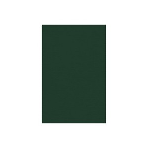 JAM PAPER 11" x 17" Cardstock 100lb Green Linen 50/pack  (1117-C-GNLI-50) - 1 of 1
