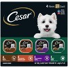 Cesar Classic Loaf In Sauce Adult Wet Dog Food - 3.5oz/24ct - 2 of 4