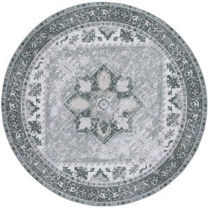 Tucson Vintage Persian TSN102 Power Loomed Machine Washable Skid-Resistant Indoor Rugs - Safavieh - 1 of 3