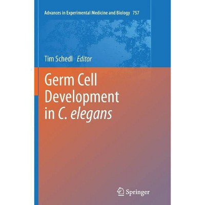 Germ Cell Development in C. Elegans - (Advances in Experimental Medicine and Biology) by  Tim Schedl (Paperback)