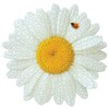 Madd Capp Puzzles: I AM DAISY - 350 Piece Jigsaw Puzzle - Floral Shaped Puzzle, - 2 of 4