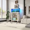 ORRD 20 Gallon Fish Tank Stand with Power Outlets, Farmhouse Aquarium Stand with Storage Cabinet & Adjustable Shelves, Black - 2 of 4