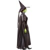 Rubies The Wizard of Oz Wicked Witch Womens Deluxe Costume - 4 of 4