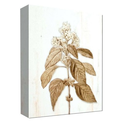 11" x 14" Sephia Flower I Decorative Wall Art - PTM Images