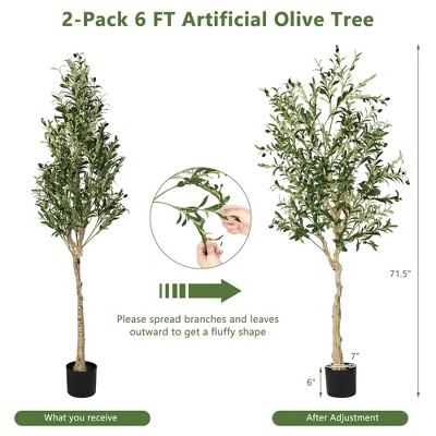 6 FT Tall Faux Olive Trees with Silk Leaves in Black Plastic Pots
