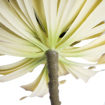 Verdant Bliss 22" Green Plastic Grass Tabletop Arrangement