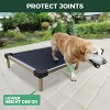 Proof Elevated Dog Bed - 2 of 3