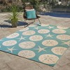 Paseo Starfish Outdoor Rug - Avenue33 - 2 of 3