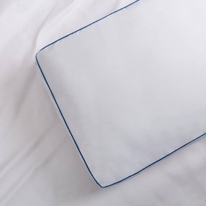 Cannon 3" 2pk Extra Firm Gusset Pillow - 1 of 2