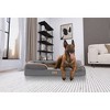 TailZzz Snuggle Pet Bolster 2-in-1 Cool Gel Infused with High Density foam Mattress with Bumper  Anti-Slip Pet Mattress Bed Orthopedic Pet Mattress - 2 of 4